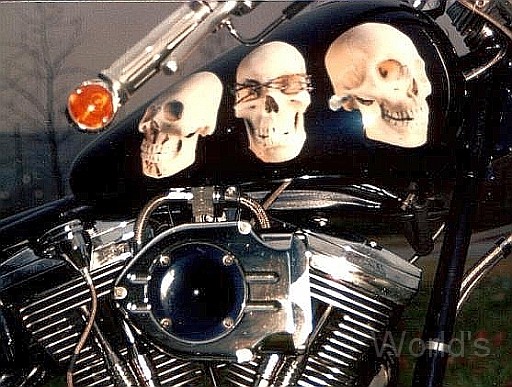 Airbrush Intro.jpg - SBS Skullhead
